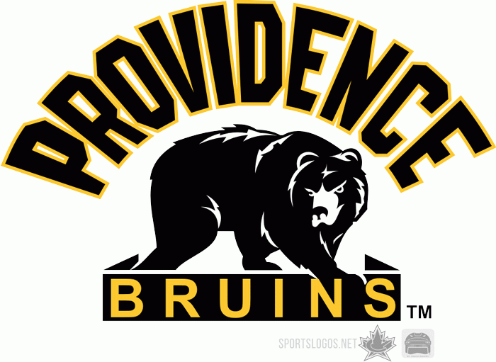 Providence Bruins 2007 08 Alternate Logo iron on paper